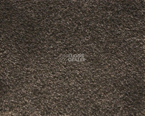 Ковролин Radici Lord Bisonte 328C фото 1 | FLOORDEALER